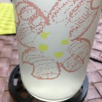 仙禽