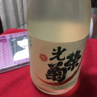 
            光栄菊_
            mshogoさん