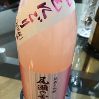 
            尾瀬の雪どけ_
            mshogoさん
