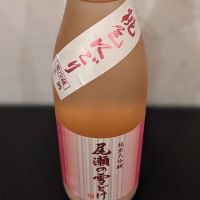 尾瀬の雪どけのレビュー by_ひろし