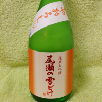 
            尾瀬の雪どけ_
            ひろしさん