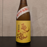 亀の海のレビュー by_ひろし