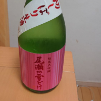 
            尾瀬の雪どけ_
            ひでさん