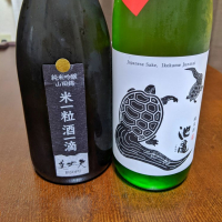 高知県の酒