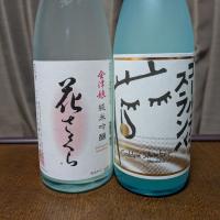 
            磐城壽_
            ゴン太さん