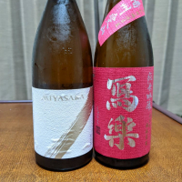 MIYASAKA