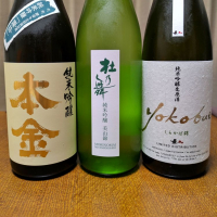 杜乃舞