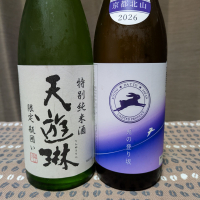 天遊琳