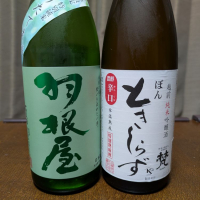 梵