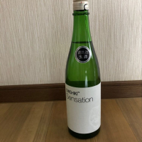 
            SENSATION_
            kazeさん