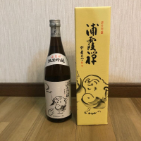 浦霞