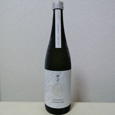 甲子のレビュー by_後半記憶が無い