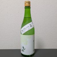 亀の海のレビュー by_後半記憶が無い