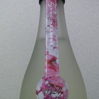 OCEAN99のレビュー by_後半記憶が無い