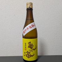 亀の海のレビュー by_後半記憶が無い