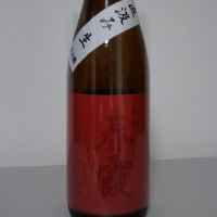 春霞