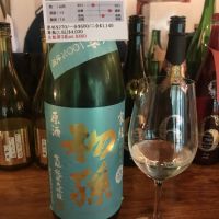 
            初孫_
            楽饅頭さん