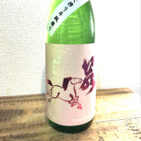 若駒