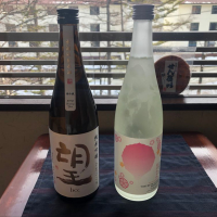 燦爛