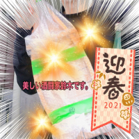 越前岬のレビュー by_スーパーポジティブ鼠