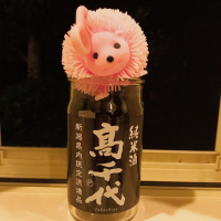 
            高千代_
            スーパーポジティブ鼠さん