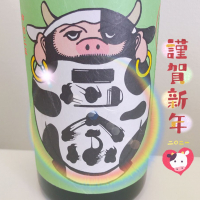 達磨正宗