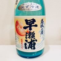 早瀬浦のレビュー by_スーパーポジティブ鼠