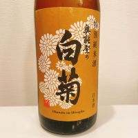 奥能登の白菊