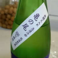 山本のレビュー by_umiten