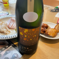 電照菊