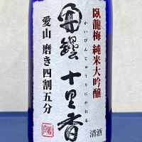 臥龍梅
