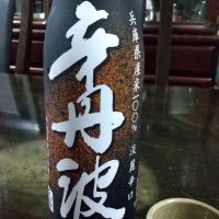 辛丹波
