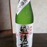 新潟県の酒