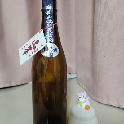 山本のレビュー by_odoroki