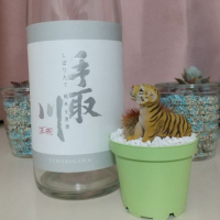 
            手取川_
            odorokiさん