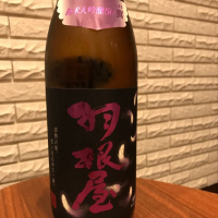 富山県の酒