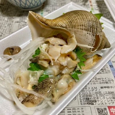 日本酒６本セット　 楽器正宗、かもにしき、田神、大嶺、南部美人、写楽 楽器正宗 混醸 山田錦 720ml