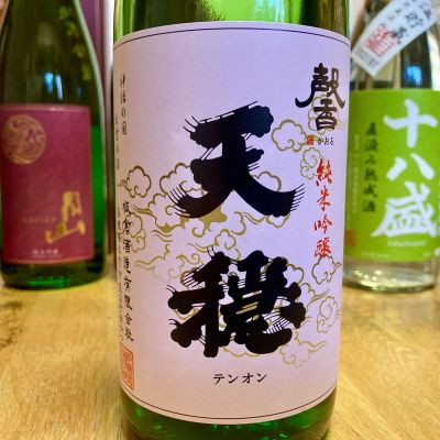 天穏のレビュー by_山田 庄司