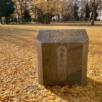 鶴齢のレビュー by_山田 庄司