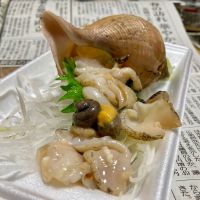 勝駒のレビュー by_山田 庄司