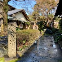 豊祝のレビュー by_山田 庄司