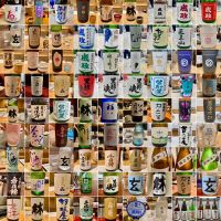 奥能登の白菊のレビュー by_山田 庄司