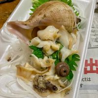 至のレビュー by_山田 庄司