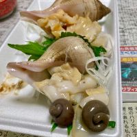 光栄菊のレビュー by_山田 庄司