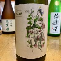 楽器正宗