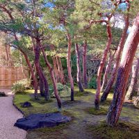 月山のレビュー by_山田 庄司