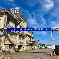 若鶴のレビュー by_山田 庄司