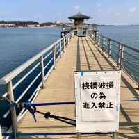 常きげんのレビュー by_山田 庄司