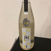 山形県の酒