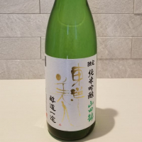 山口県の酒